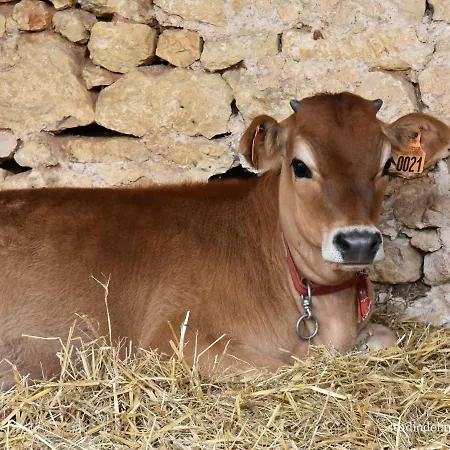 Bed & Breakfast Domaine De La Briouse Sanxay