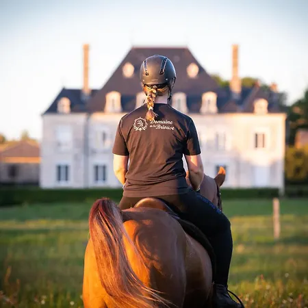 Bed & Breakfast Domaine De La Briouse Sanxay