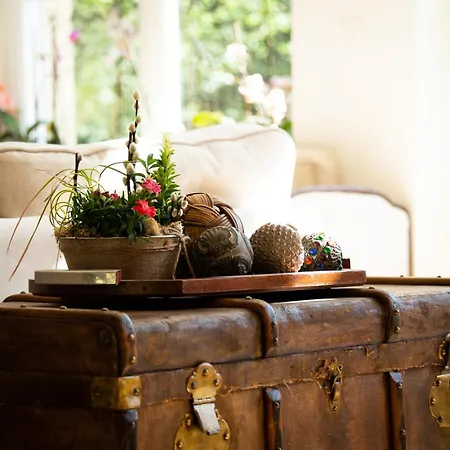 Bed & Breakfast Domaine De La Briouse