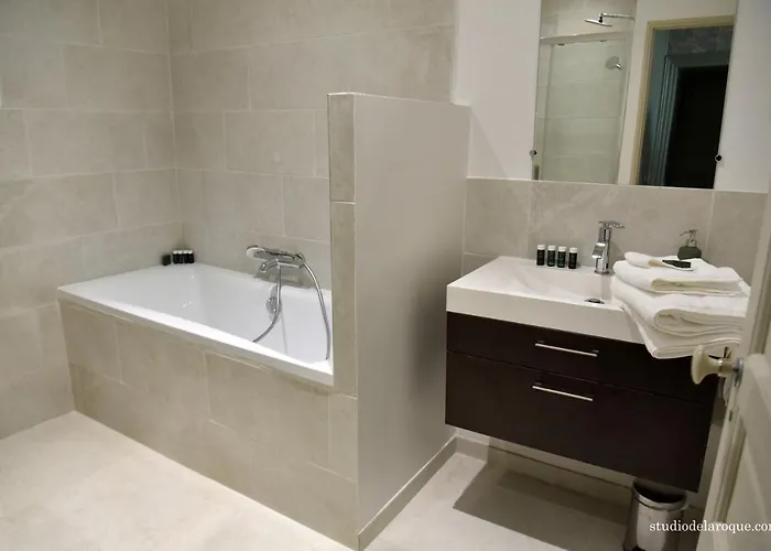 Bed & Breakfast Domaine De La Briouse *