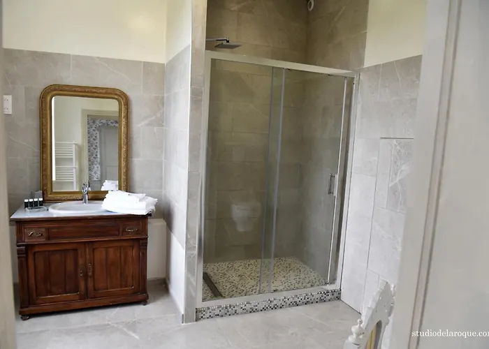 Domaine De La Briouse Bed & Breakfast Sanxay