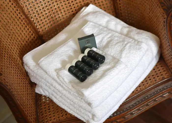 Domaine De La Briouse Bed & Breakfast Sanxay