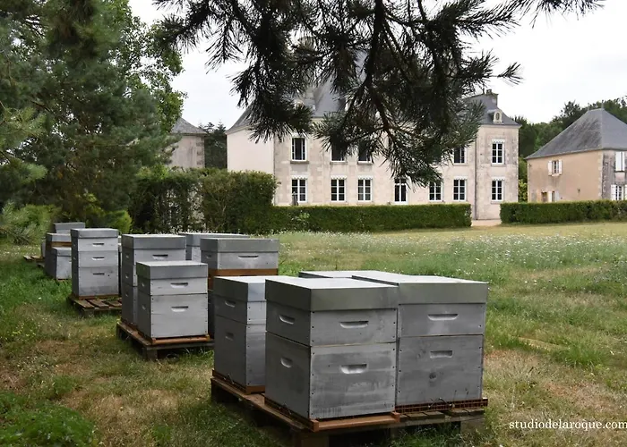 Domaine De La Briouse *