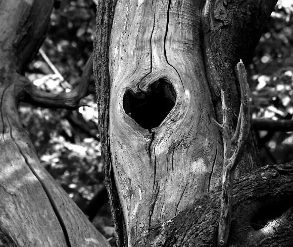 Domaine De La Briouse Bed & Breakfast Sanxay