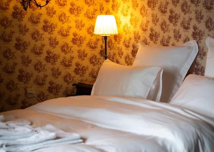 Bed & Breakfast Domaine De La Briouse Sanxay